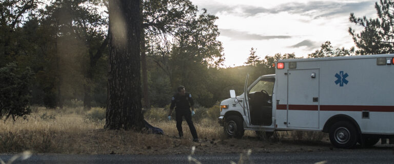 A Discovery in the Woods